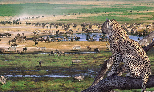 3-days-nairobi-ngorongoro-lake-manyara