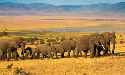 5-days-nairobi-lake-manyara-ngorongoro-tarangire