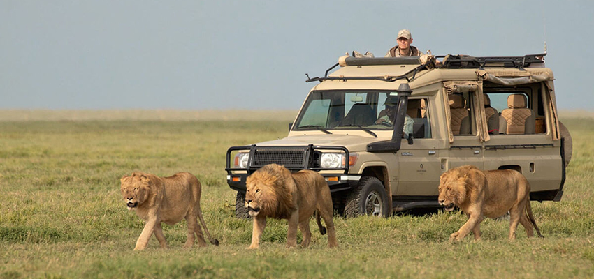 7-days-6-nights-kenya-tanzania-road-package-safari
