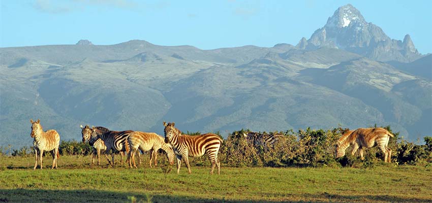 8-days-nairobi-ol-pajeta-samburu-national-reserve-lake-nakuru-masai-mara-nairobi