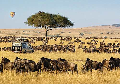 9-days-8-nights-bush-beach-a-must-safari-experience-in-kenya