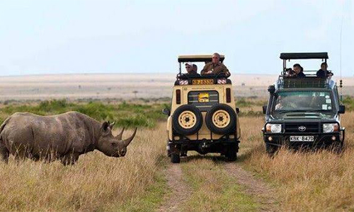 masai-mara-3-days-budget-safari